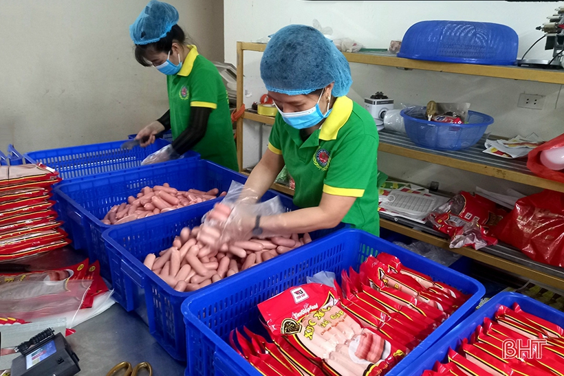 Hà Tĩnh đăng ký 22 sản phẩm bình chọn sản phẩm công nghiệp nông thôn tiêu biểu cấp khu vực năm 2022
