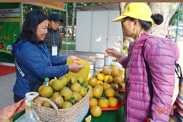 Hà Tĩnh tham gia 8 gian hàng tại Hội chợ Xúc tiến thương mại ở Hà Nội